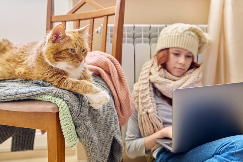 Why Is My Furnace Blowing Cold Air? Preteen girl in knitted scarf hat is warming near heating radiator using laptop for leisure study with ginger cat lying on chair.