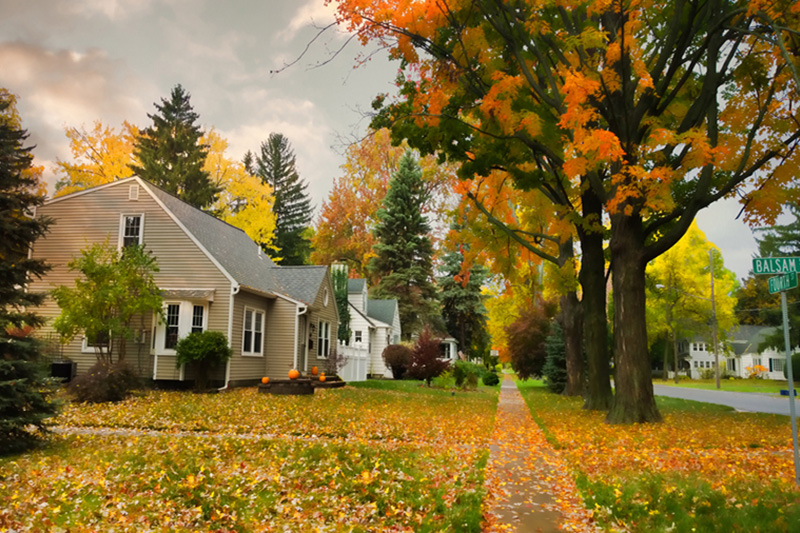 A row of homes with autumn trees out front | Fall HVAC Maintenance | Schedule a Check-Up | New Haven, IN