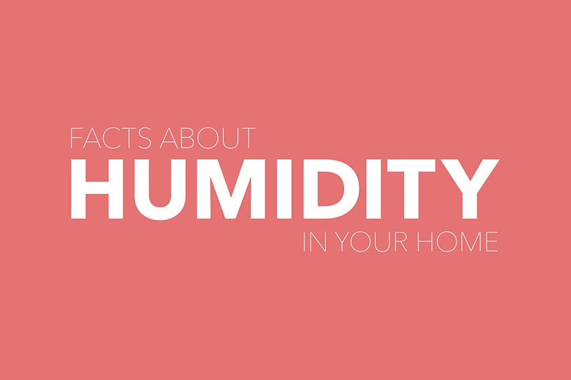 V-IAQ_005-Humidity-Facts