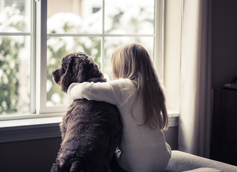 Little girl and her dog looking out the window.